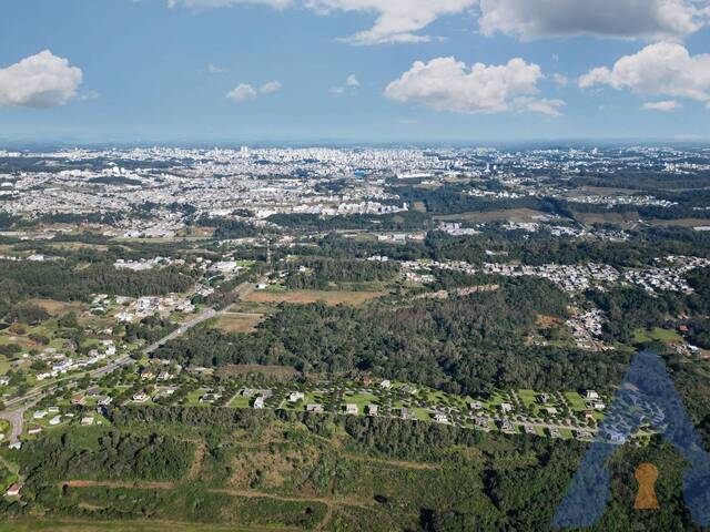 Terreno para Venda em Caxias do Sul - 5