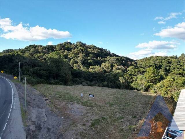#450 - Área Industrial para Venda em Flores da Cunha - RS - 2