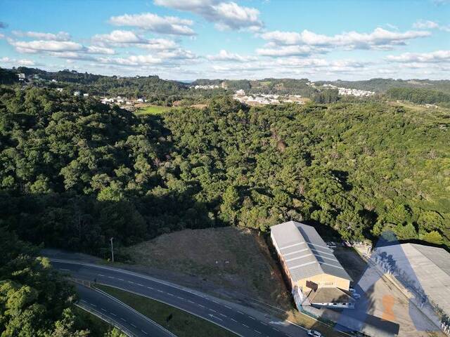 Área Industrial para Venda em Flores da Cunha - 5
