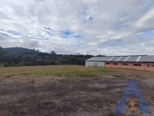 #450 - Área Industrial para Venda em Flores da Cunha - RS - 3