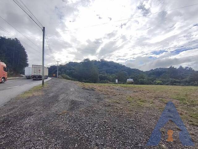 Área Industrial para Venda em Flores da Cunha - 4
