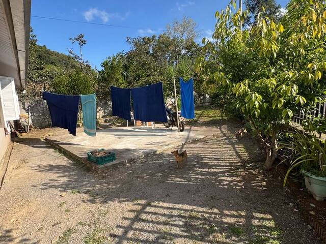 Casa para Venda em Flores da Cunha - 5