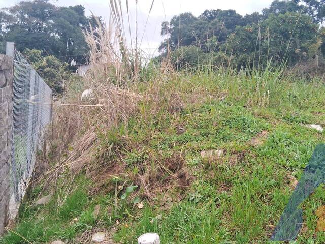 #456 - Terreno para Venda em Flores da Cunha - RS - 3