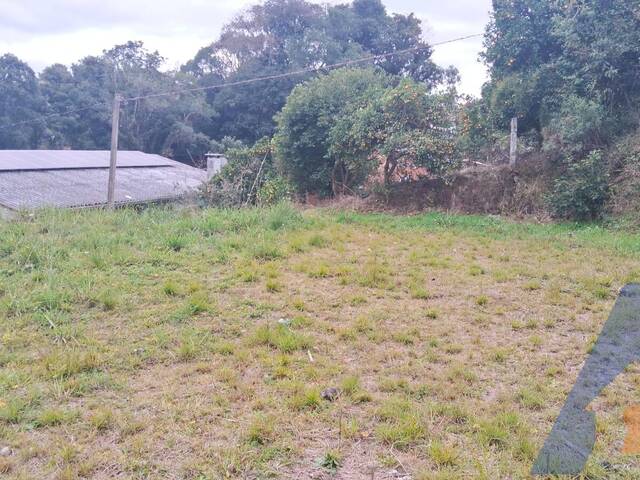 #456 - Terreno para Venda em Flores da Cunha - RS - 2