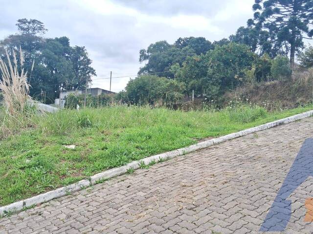 #456 - Terreno para Venda em Flores da Cunha - RS - 1