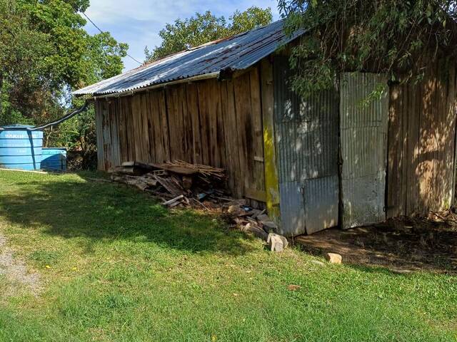 #457 - Chácara para Venda em Coronel Pilar - RS - 3
