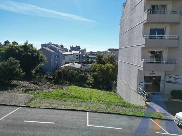 #460 - Terreno para Venda em Flores da Cunha - RS - 2