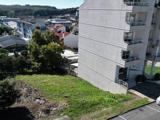 #460 - Terreno para Venda em Flores da Cunha - RS - 1