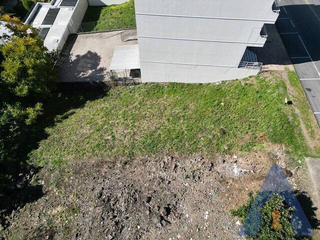Terreno para Venda em Flores da Cunha - 4