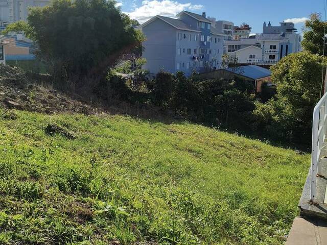 Terreno para Venda em Flores da Cunha - 5