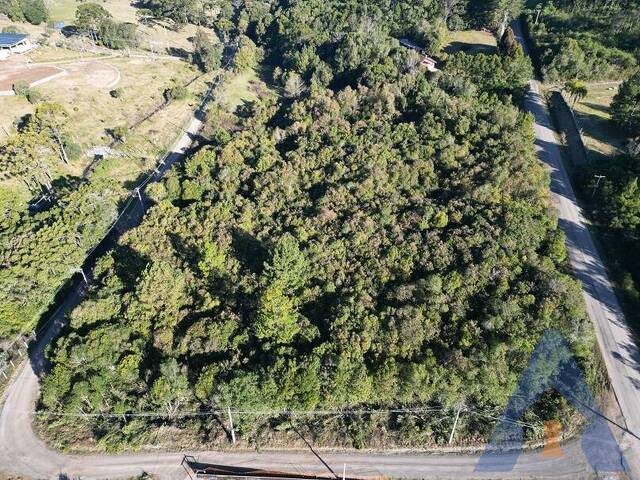 #462 - Área Industrial para Venda em Flores da Cunha - RS - 1