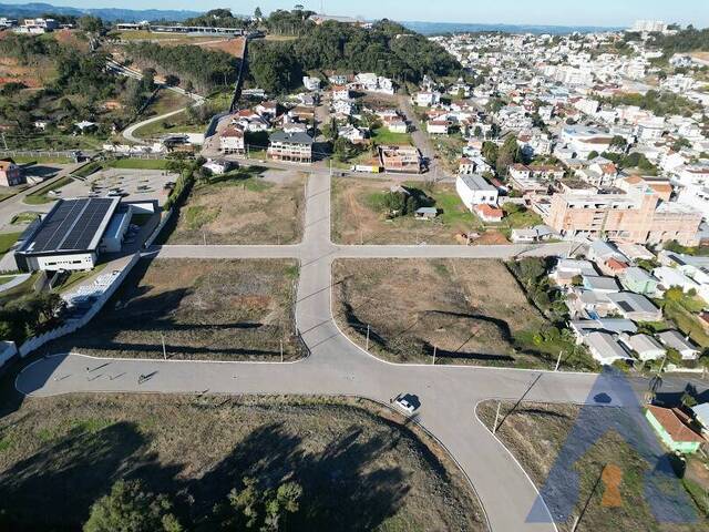 Terreno para Venda em Flores da Cunha - 5