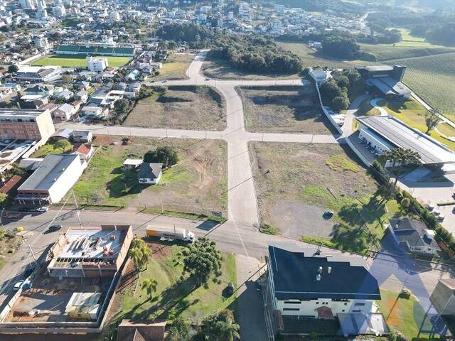 Terreno para Venda em Flores da Cunha - 4