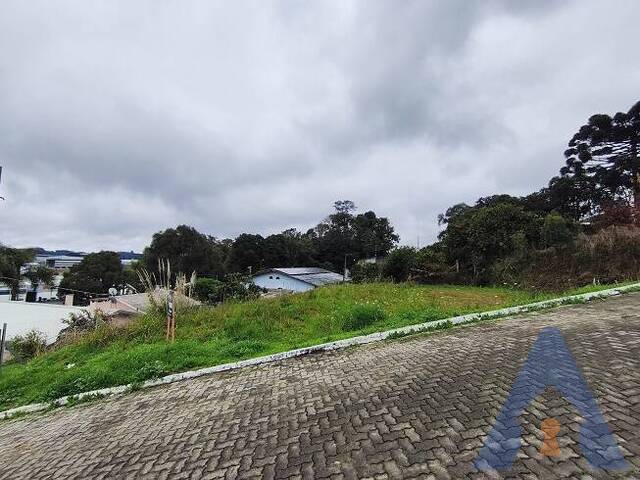 #456 - Terreno para Venda em Flores da Cunha - RS - 2