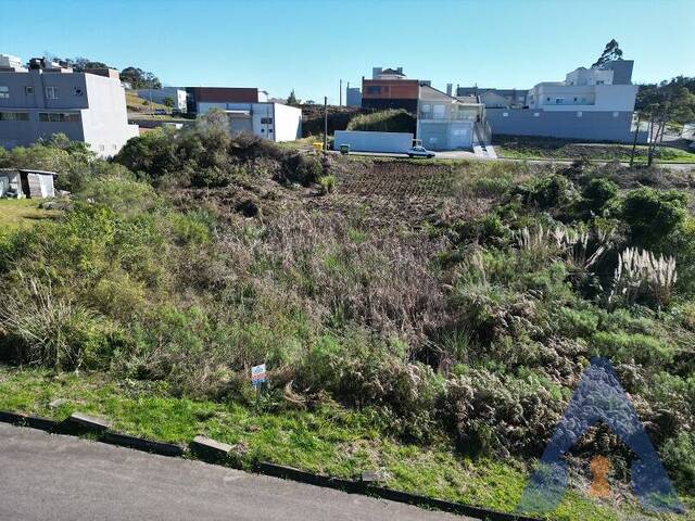 #308 - Terreno para Venda em Flores da Cunha - RS - 3