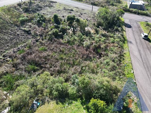 Terreno para Venda em Flores da Cunha - 4