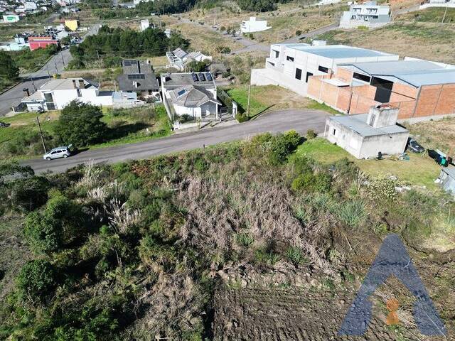 Terreno para Venda em Flores da Cunha - 5