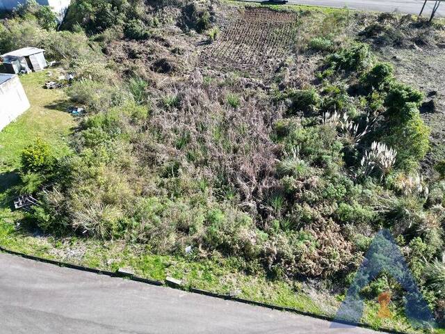 #308 - Terreno para Venda em Flores da Cunha - RS - 2