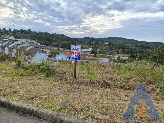 #467 - Terreno para Venda em Flores da Cunha - RS - 1