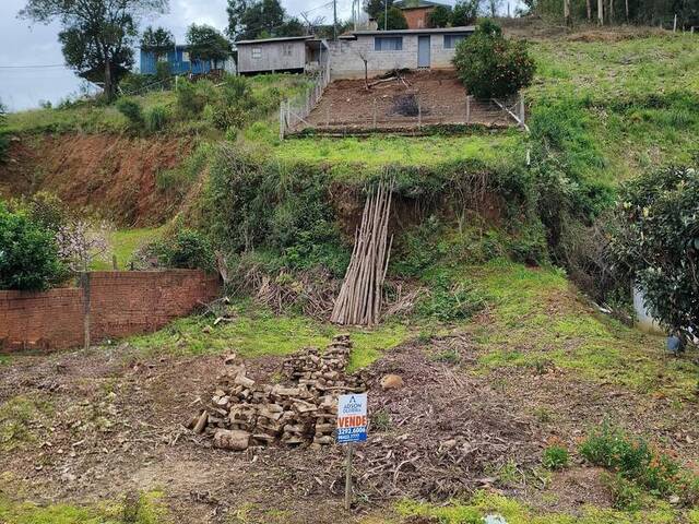 Venda em Otávio Rocha - Flores da Cunha