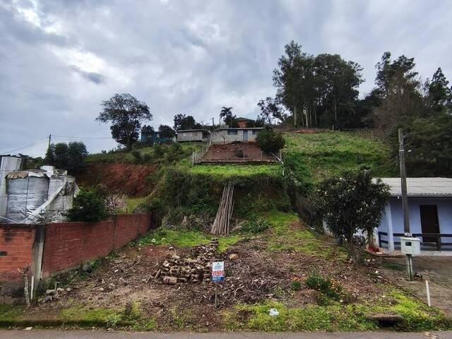 #468 - Terreno para Venda em Flores da Cunha - RS - 2