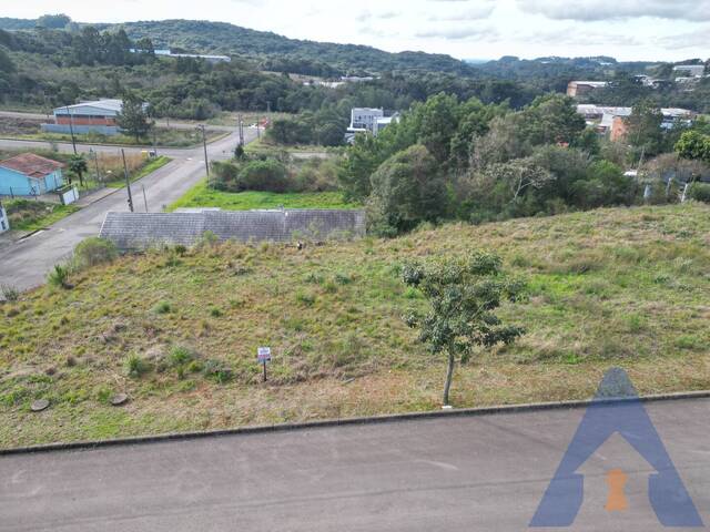 Terreno para Venda em Flores da Cunha - 5