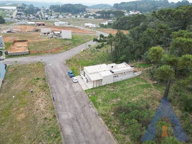 #471 - Terreno para Venda em Flores da Cunha - RS - 3