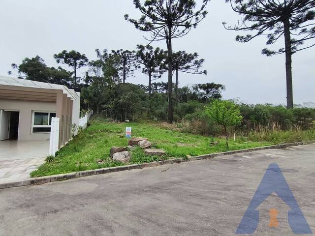 Terreno para Venda em Flores da Cunha - 4