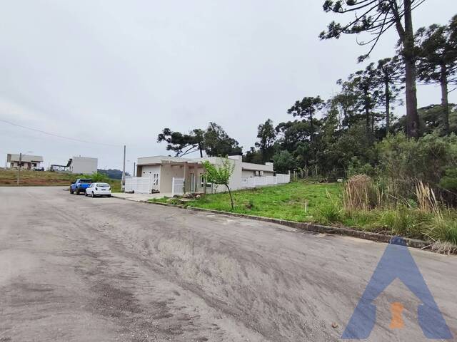 Terreno para Venda em Flores da Cunha - 5
