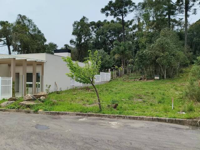 #471 - Terreno para Venda em Flores da Cunha - RS - 3