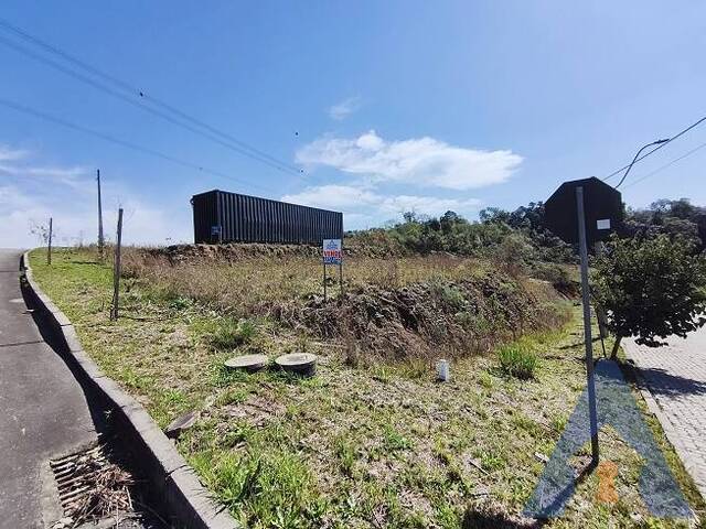 #472 - Área para Venda em Flores da Cunha - RS - 2