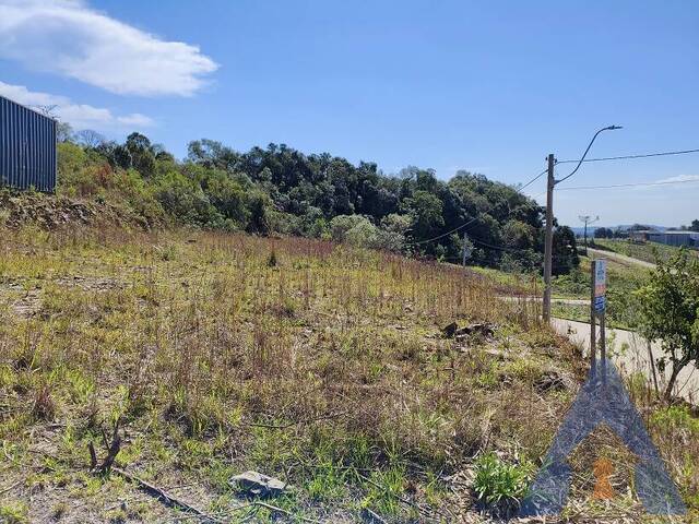 Área para Venda em Flores da Cunha - 4