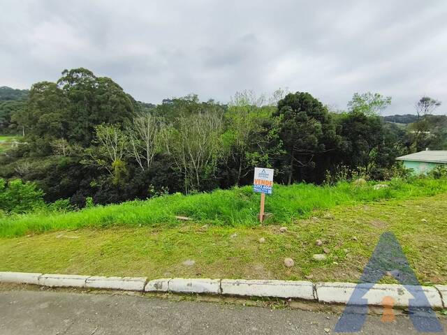 #474 - Terreno para Venda em Nova Pádua - RS - 1