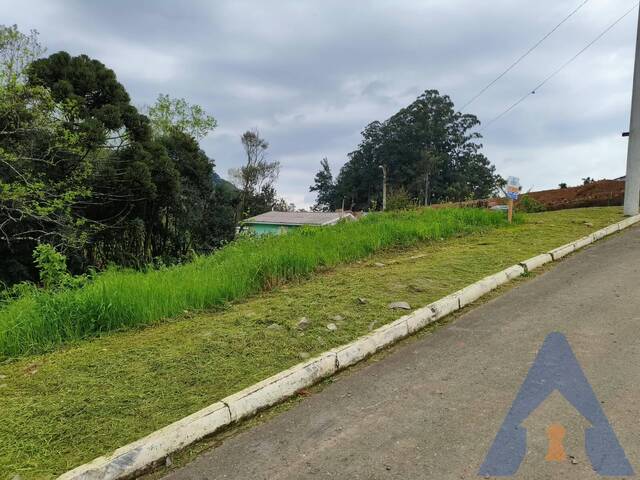 Terreno para Venda em Nova Pádua - 4