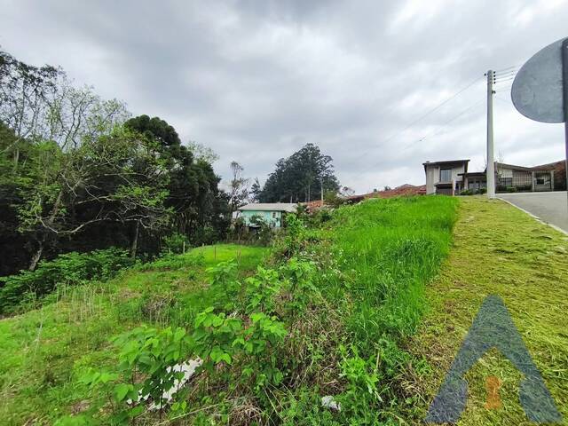 Terreno para Venda em Nova Pádua - 5