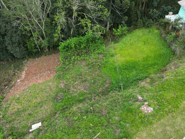 #474 - Terreno para Venda em Nova Pádua - RS - 3