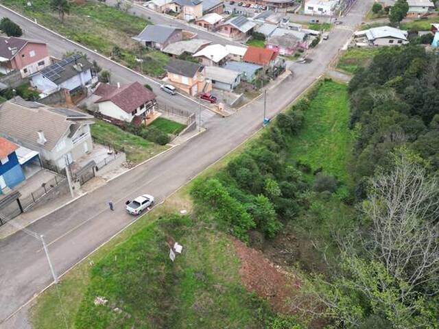 #474 - Terreno para Venda em Nova Pádua - RS - 2