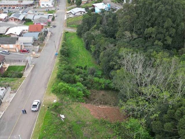 #474 - Terreno para Venda em Nova Pádua - RS - 3