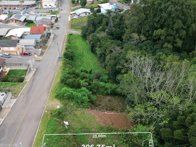 #474 - Terreno para Venda em Nova Pádua - RS - 1
