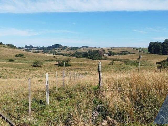 #475 - Chácara para Venda em Caxias do Sul - RS - 2