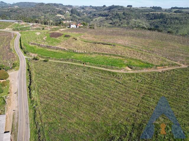 Chácara para Venda em Nova Pádua - 5