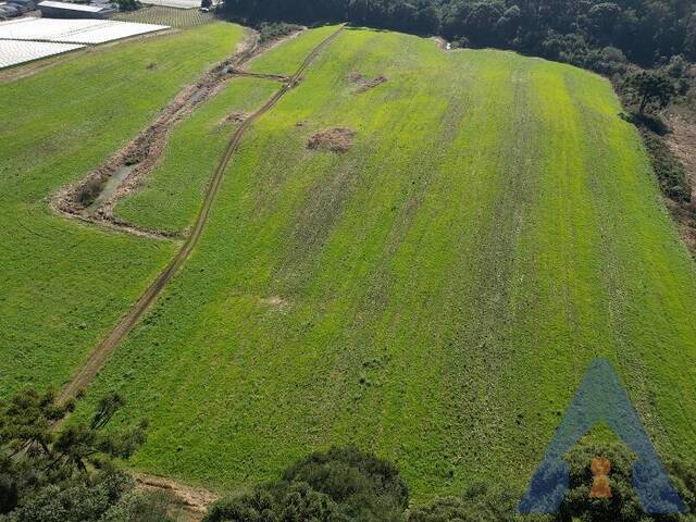 Área Industrial para Venda em Farroupilha - 4