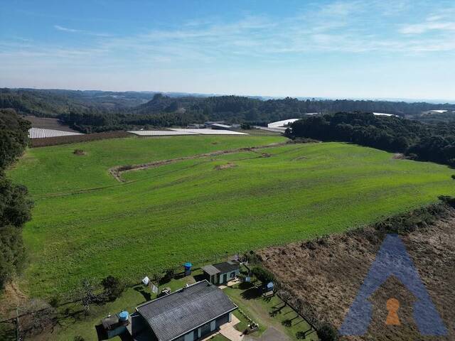 #479 - Área Industrial para Venda em Farroupilha - RS - 1
