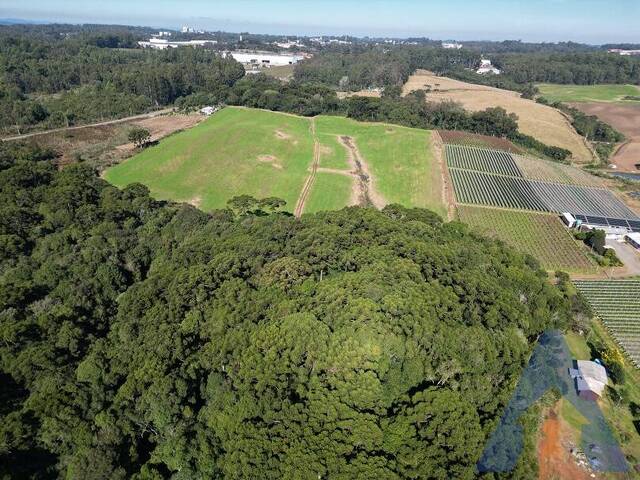#479 - Área Industrial para Venda em Farroupilha - RS - 2