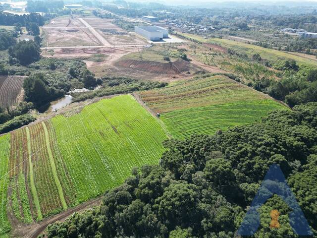 #479 - Área Industrial para Venda em Farroupilha - RS - 3