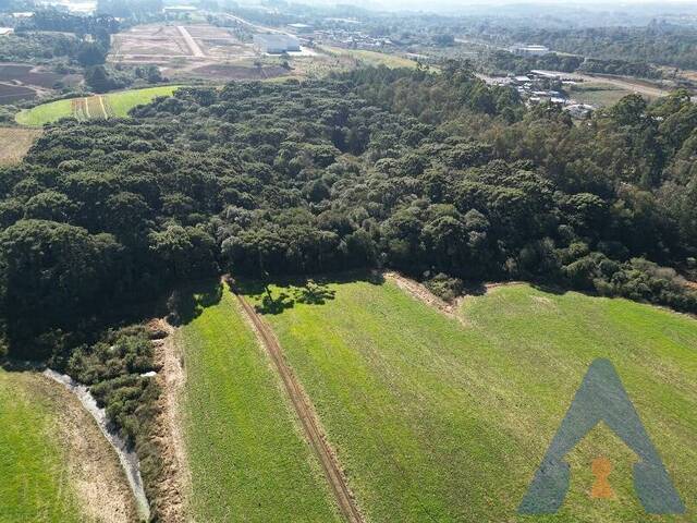 Área Industrial para Venda em Farroupilha - 5