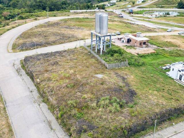 #483 - Terreno para Venda em Flores da Cunha - RS - 2