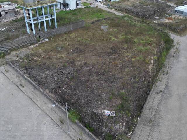 #483 - Terreno para Venda em Flores da Cunha - RS - 3