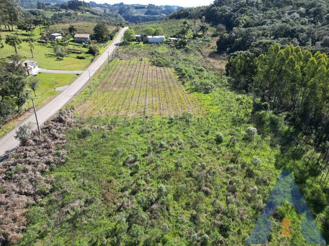 Chácara para Venda em Flores da Cunha - 4
