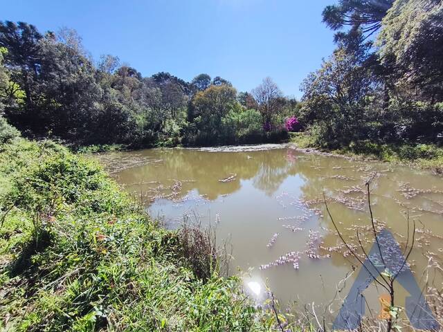 Chácara para Venda em Caxias do Sul - 4